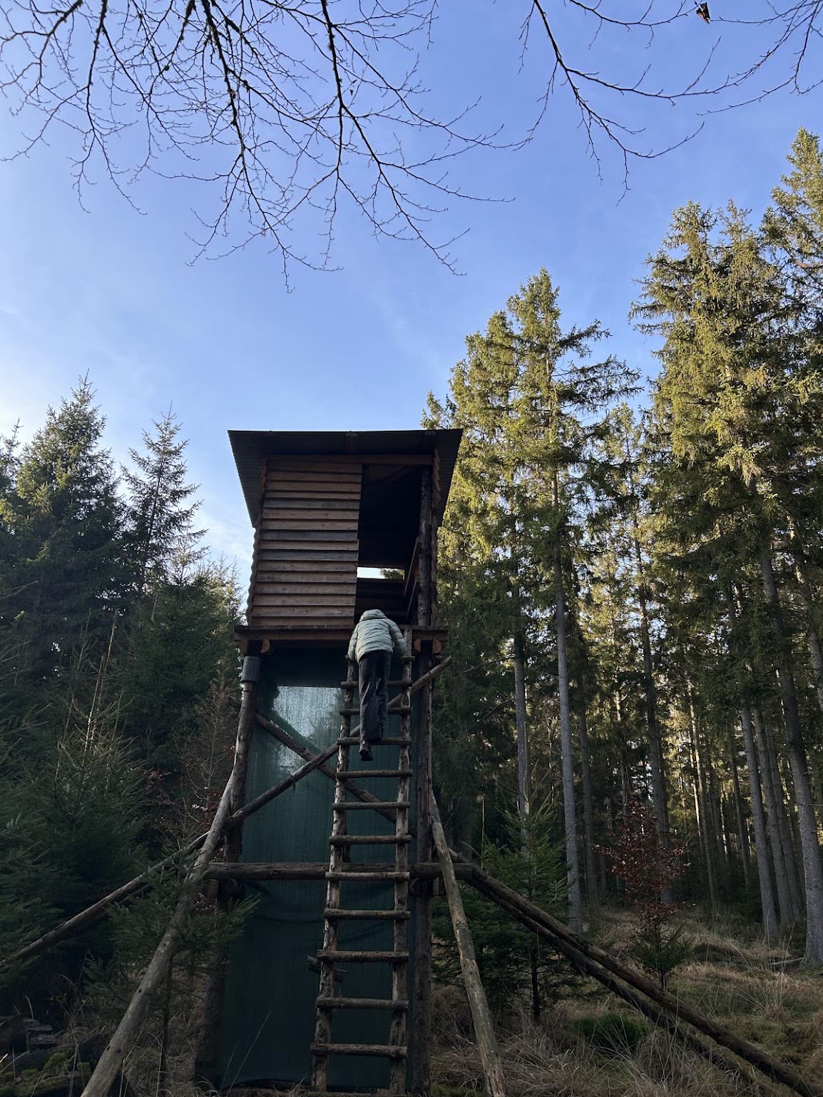Mirador