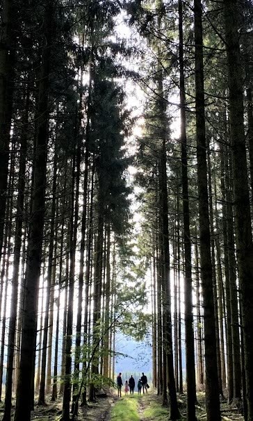 Friends Wood