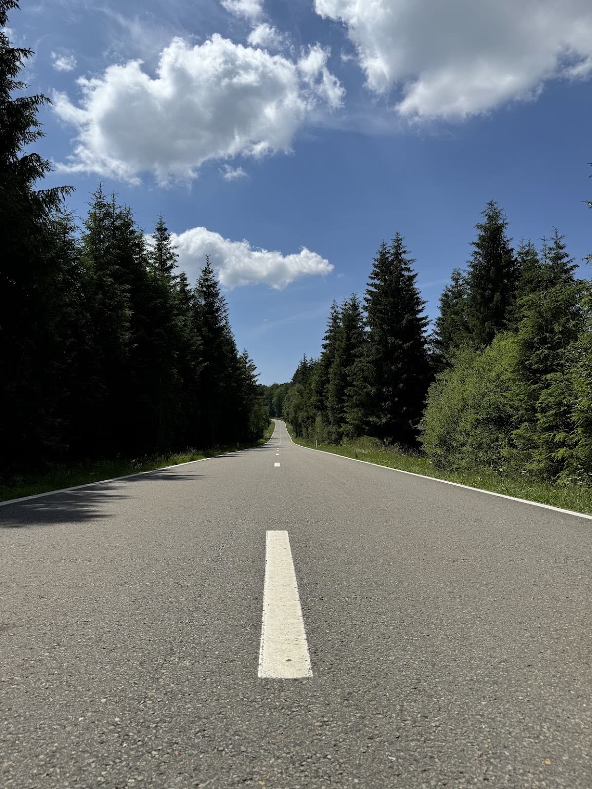 Route de Nassogne
