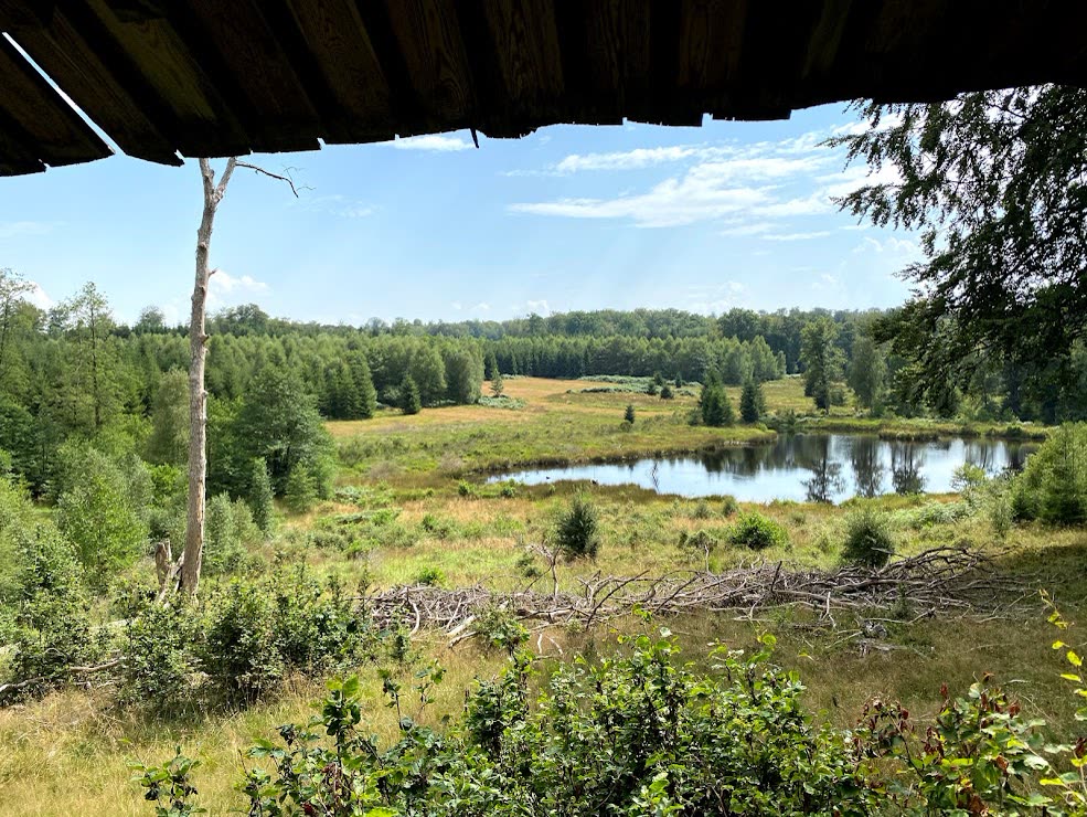 Hutte La Billaude